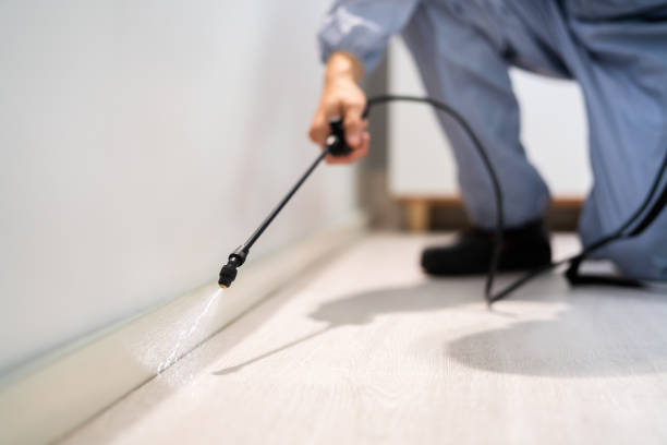 Licensed Fumigation Services service in Indian Wells, CA - Nex Pest Control