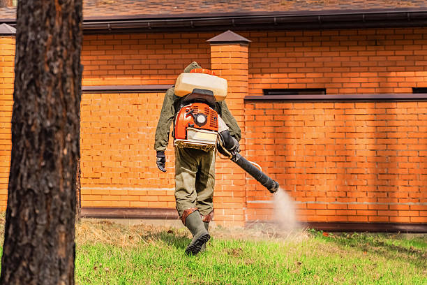 Trusted Emergency Pest Control service in Indian Wells, CA - Nex Pest Control